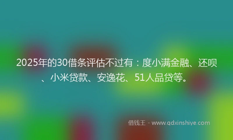 2025年的30借条评估不过有：度小满金融、还呗、小米贷款、安逸花、51人品贷等。