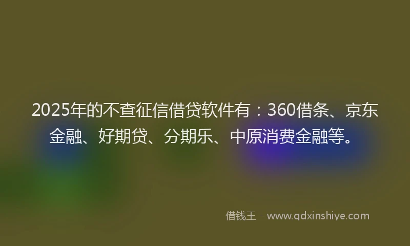 2025年的不查征信借贷软件有：360借条、京东金融、好期贷、分期乐、中原消费金融等。