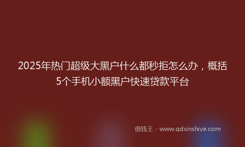 2025年热门超级大黑户什么都秒拒怎么办，概括5个手机小额黑户快速贷款平台