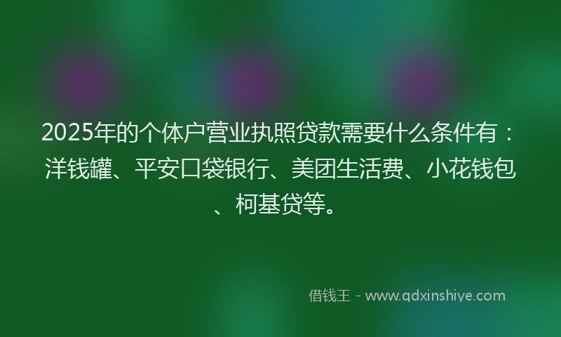 2025年的个体户营业执照贷款需要什么条件有：洋钱罐、平安口袋银行、美团生活费、小花钱包、柯基贷等。
