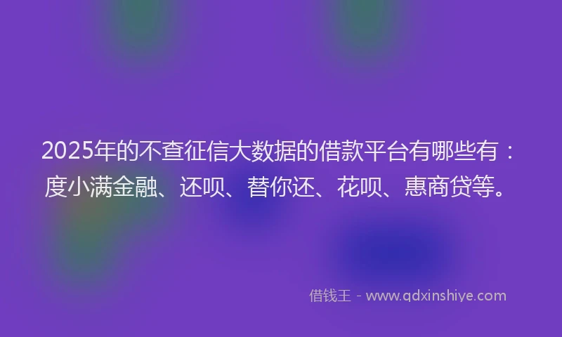2025年的不查征信大数据的借款平台有哪些有：度小满金融、还呗、替你还、花呗、惠商贷等。