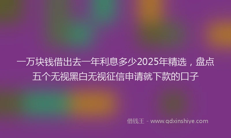 一万块钱借出去一年利息多少2025年精选，盘点五个无视黑白无视征信申请就下款的口子