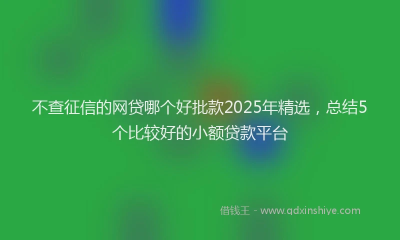不查征信的网贷哪个好批款2025年精选，总结5个比较好的小额贷款平台