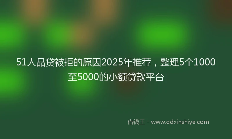 51人品贷被拒的原因2025年推荐，整理5个1000至5000的小额贷款平台
