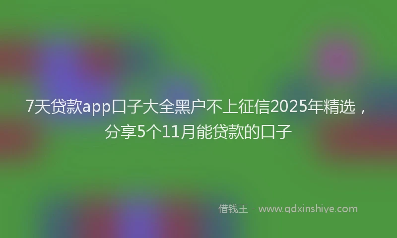 7天贷款app口子大全黑户不上征信2025年精选，分享5个11月能贷款的口子