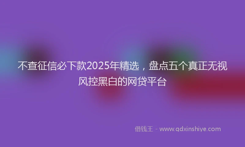 不查征信必下款2025年精选，盘点五个真正无视风控黑白的网贷平台