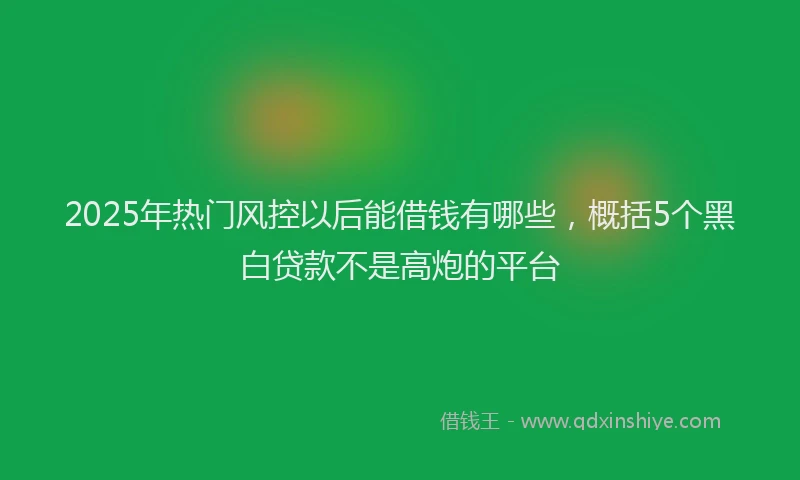 2025年热门风控以后能借钱有哪些，概括5个黑白贷款不是高炮的平台