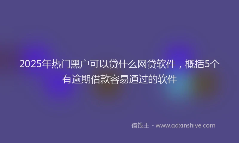 2025年热门黑户可以贷什么网贷软件，概括5个有逾期借款容易通过的软件