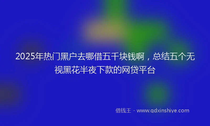 2025年热门黑户去哪借五千块钱啊，总结五个无视黑花半夜下款的网贷平台