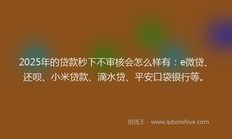 2025年的贷款秒下不审核会怎么样有：e微贷、还呗、小米贷款、滴水贷、平安口袋银行等。