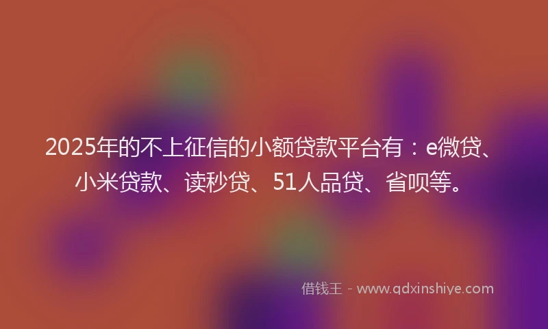 2025年的不上征信的小额贷款平台有：e微贷、小米贷款、读秒贷、51人品贷、省呗等。