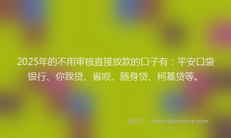 2025年的不用审核直接放款的口子有：平安口袋银行、你我贷、省呗、随身贷、柯基贷等。