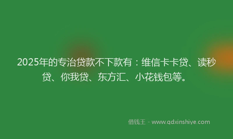 2025年的专治贷款不下款有：维信卡卡贷、读秒贷、你我贷、东方汇、小花钱包等。