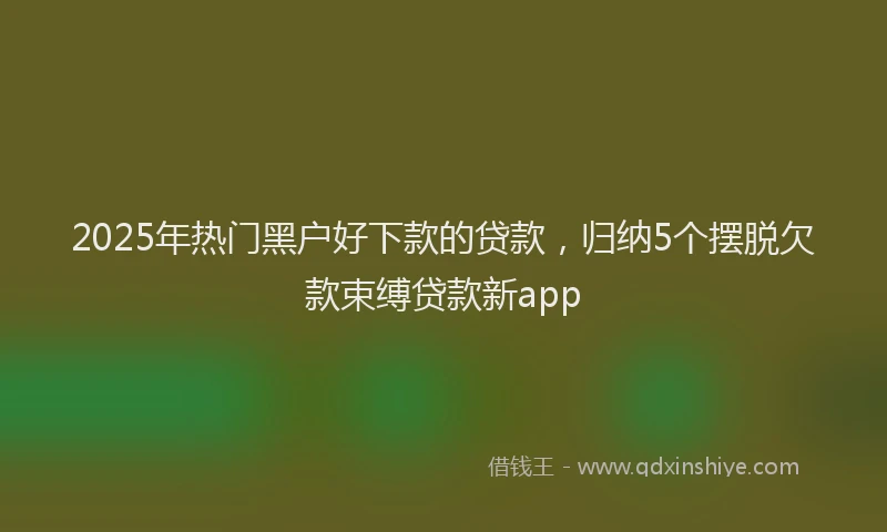 2025年热门黑户好下款的贷款，归纳5个摆脱欠款束缚贷款新app