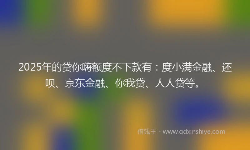 2025年的贷你嗨额度不下款有：度小满金融、还呗、京东金融、你我贷、人人贷等。