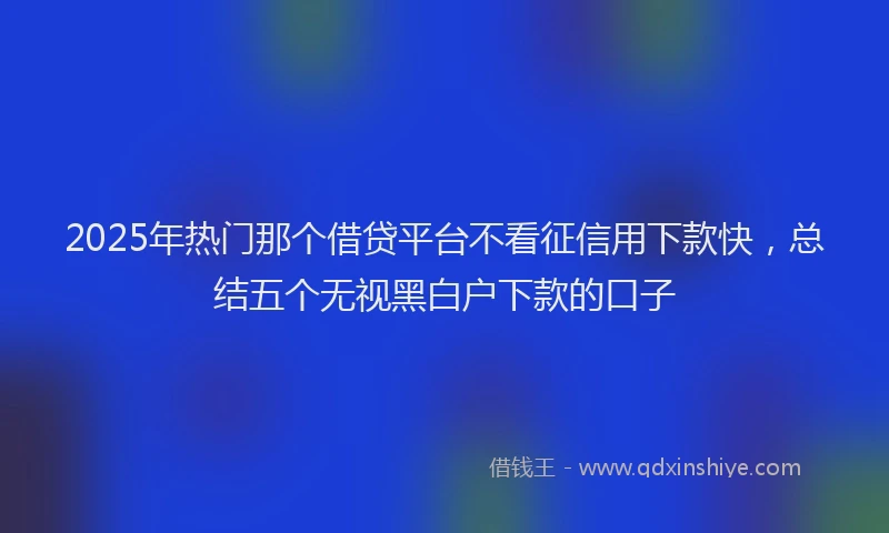 2025年热门那个借贷平台不看征信用下款快，总结五个无视黑白户下款的口子