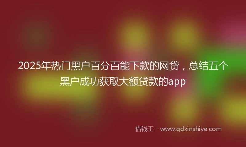 2025年热门黑户百分百能下款的网贷，总结五个黑户成功获取大额贷款的app