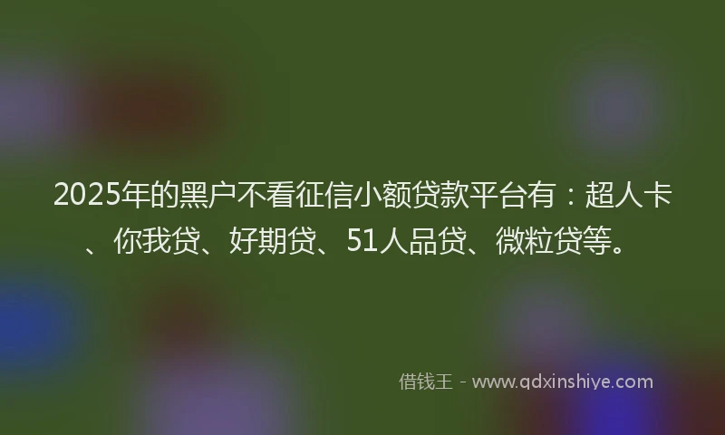 2025年的黑户不看征信小额贷款平台有：超人卡、你我贷、好期贷、51人品贷、微粒贷等。