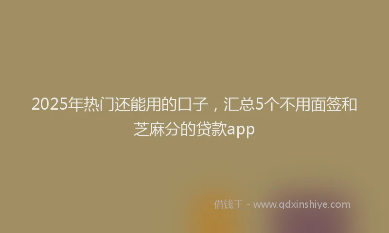 2025年热门还能用的口子，汇总5个不用面签和芝麻分的贷款app