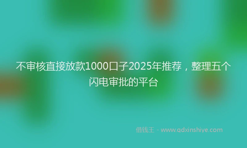 不审核直接放款1000口子2025年推荐，整理五个闪电审批的平台
