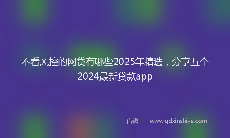 不看风控的网贷有哪些2025年精选，分享五个2024最新贷款app