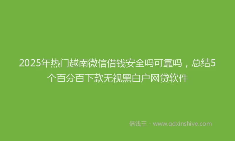 2025年热门越南微信借钱安全吗可靠吗，总结5个百分百下款无视黑白户网贷软件