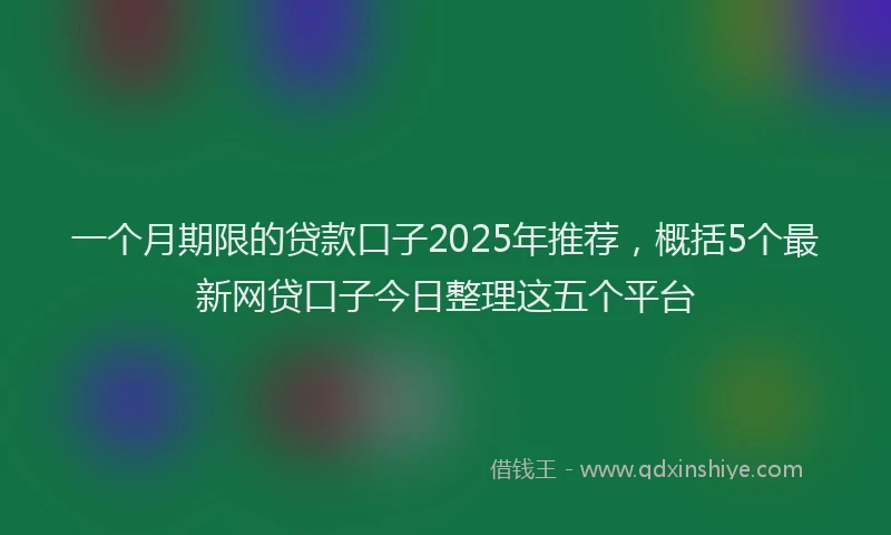 一个月期限的贷款口子2025年推荐，概括5个最新网贷口子今日整理这五个平台