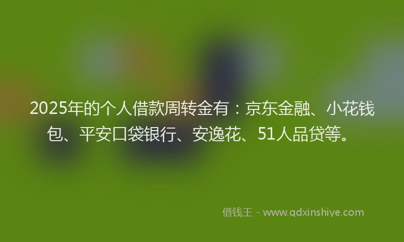 2025年的个人借款周转金有：京东金融、小花钱包、平安口袋银行、安逸花、51人品贷等。