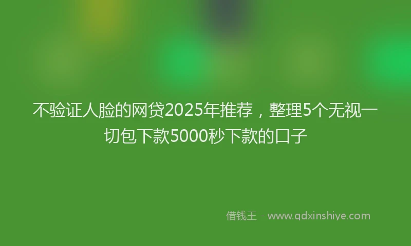 不验证人脸的网贷2025年推荐，整理5个无视一切包下款5000秒下款的口子