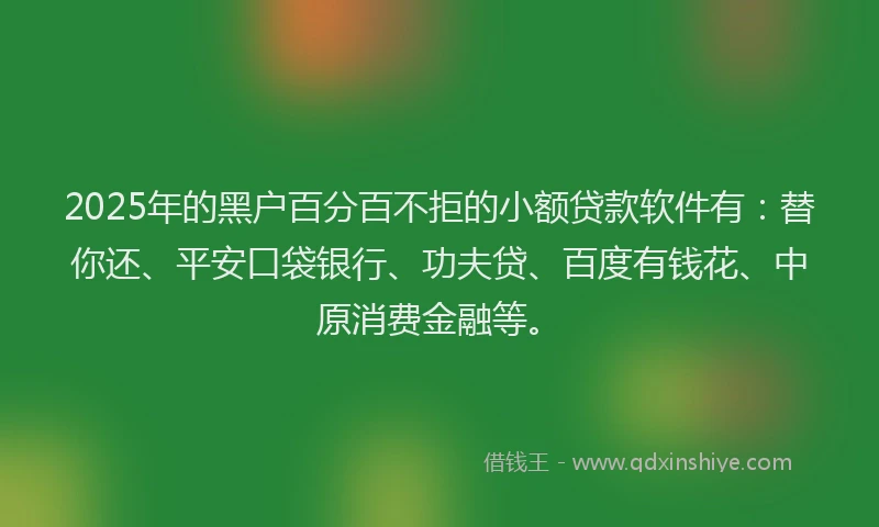 2025年的黑户百分百不拒的小额贷款软件有：替你还、平安口袋银行、功夫贷、百度有钱花、中原消费金融等。