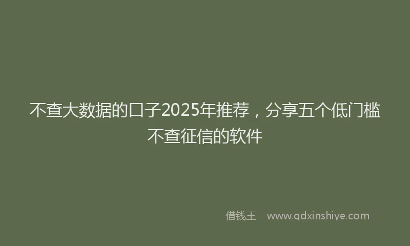不查大数据的口子2025年推荐，分享五个低门槛不查征信的软件