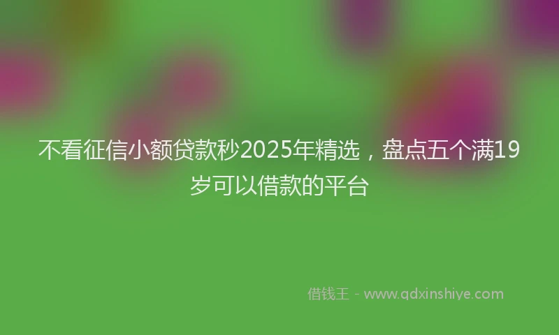 不看征信小额贷款秒2025年精选，盘点五个满19岁可以借款的平台