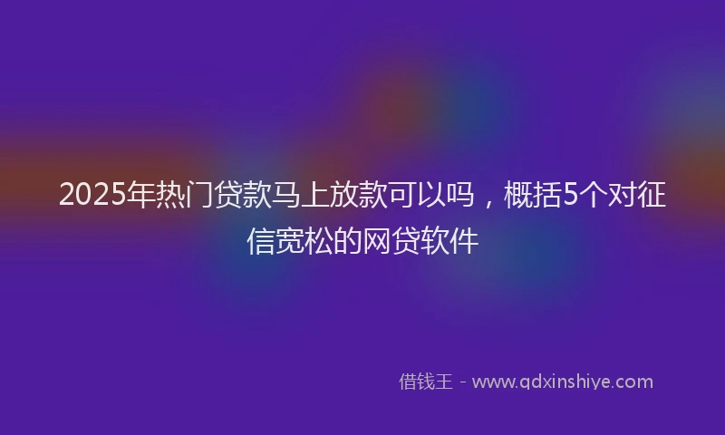 2025年热门贷款马上放款可以吗，概括5个对征信宽松的网贷软件