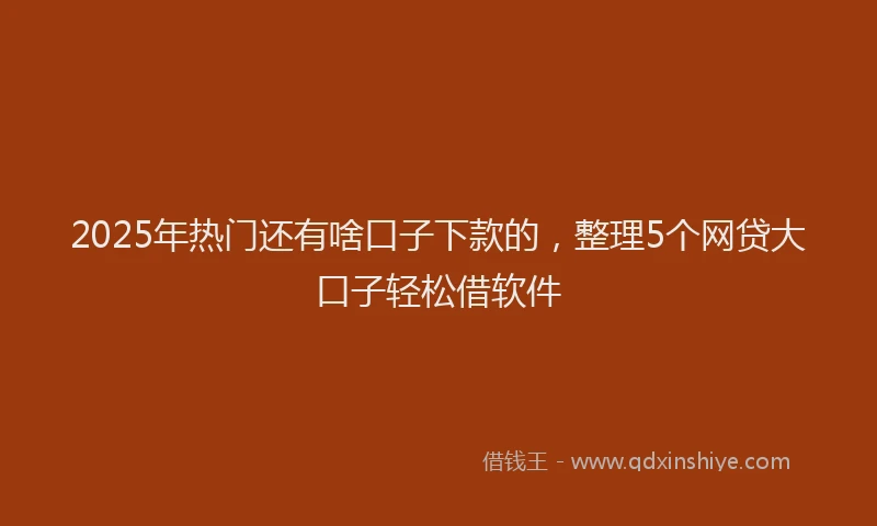 2025年热门还有啥口子下款的，整理5个网贷大口子轻松借软件