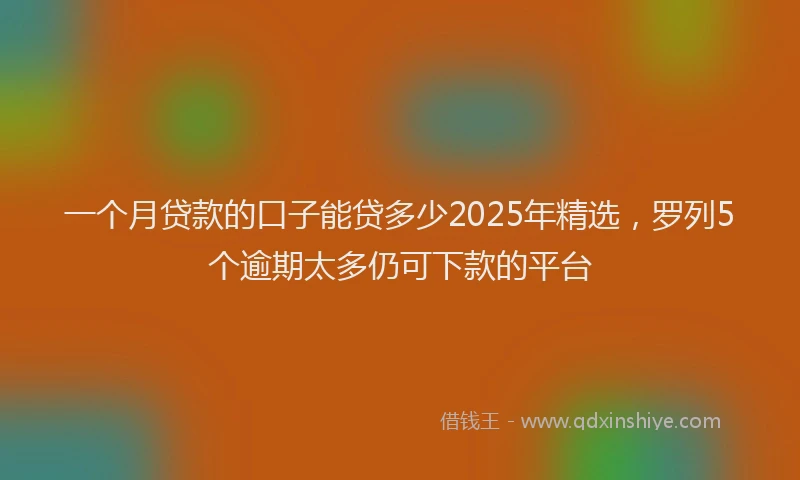 一个月贷款的口子能贷多少2025年精选，罗列5个逾期太多仍可下款的平台