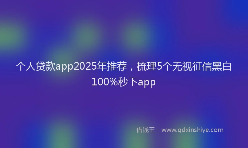个人贷款app2025年推荐，梳理5个无视征信黑白100%秒下app