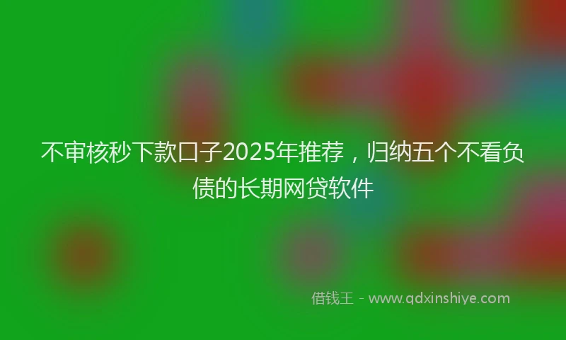 不审核秒下款口子2025年推荐，归纳五个不看负债的长期网贷软件