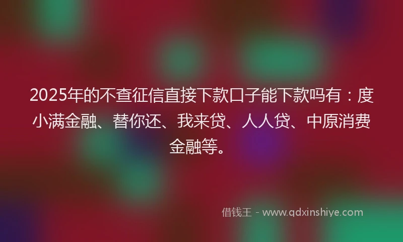 2025年的不查征信直接下款口子能下款吗有：度小满金融、替你还、我来贷、人人贷、中原消费金融等。