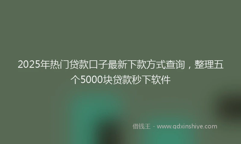 2025年热门贷款口子最新下款方式查询，整理五个5000块贷款秒下软件