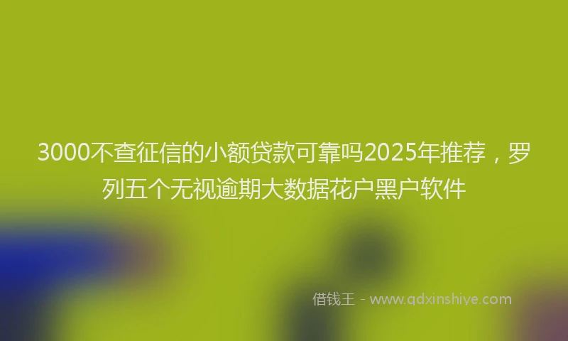 3000不查征信的小额贷款可靠吗2025年推荐，罗列五个无视逾期大数据花户黑户软件