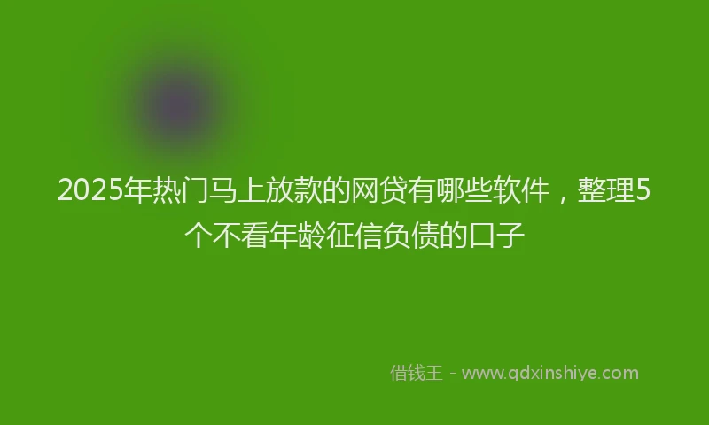 2025年热门马上放款的网贷有哪些软件，整理5个不看年龄征信负债的口子