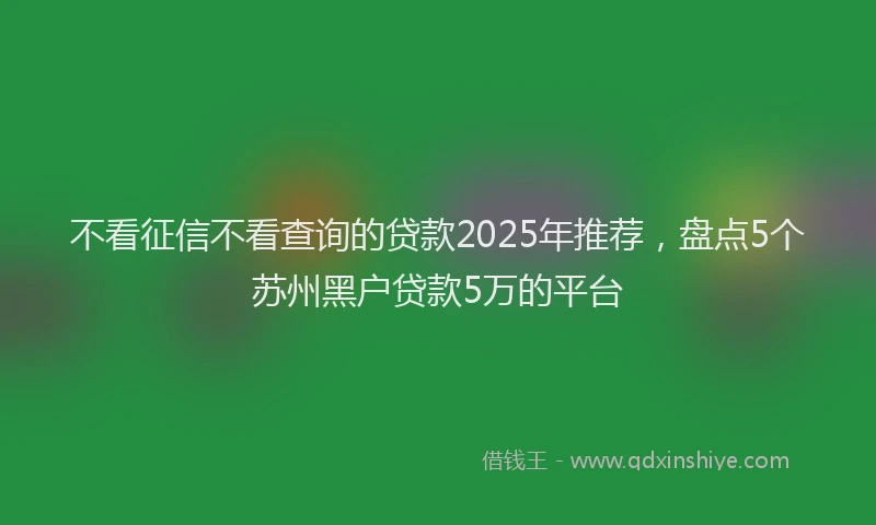 不看征信不看查询的贷款2025年推荐，盘点5个苏州黑户贷款5万的平台
