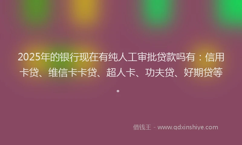 2025年的银行现在有纯人工审批贷款吗有：信用卡贷、维信卡卡贷、超人卡、功夫贷、好期贷等。