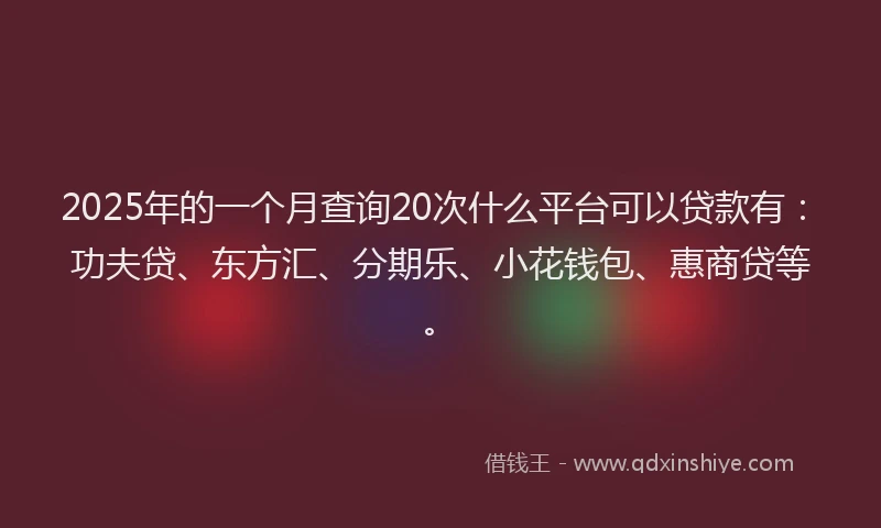 2025年的一个月查询20次什么平台可以贷款有：功夫贷、东方汇、分期乐、小花钱包、惠商贷等。
