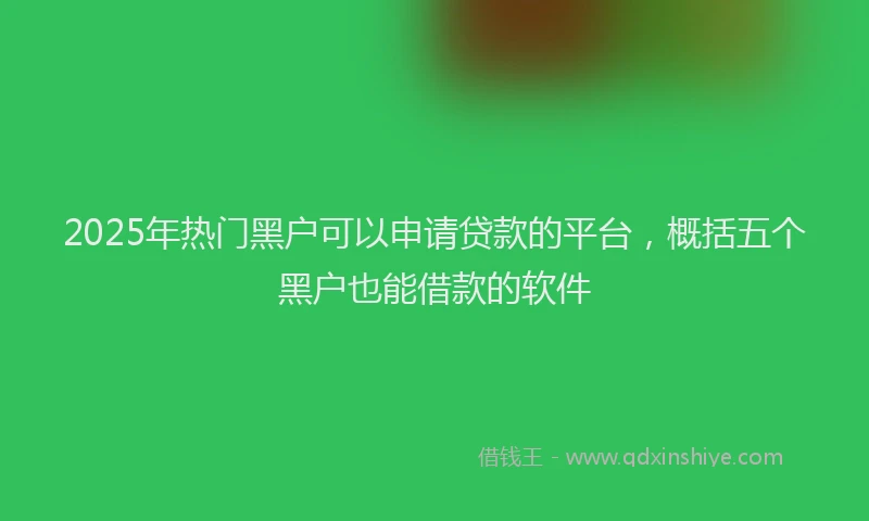 2025年热门黑户可以申请贷款的平台，概括五个黑户也能借款的软件