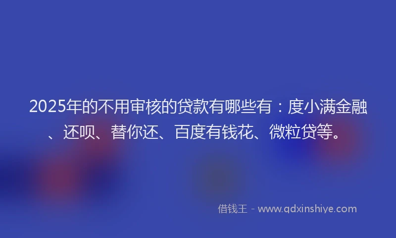 2025年的不用审核的贷款有哪些有：度小满金融、还呗、替你还、百度有钱花、微粒贷等。