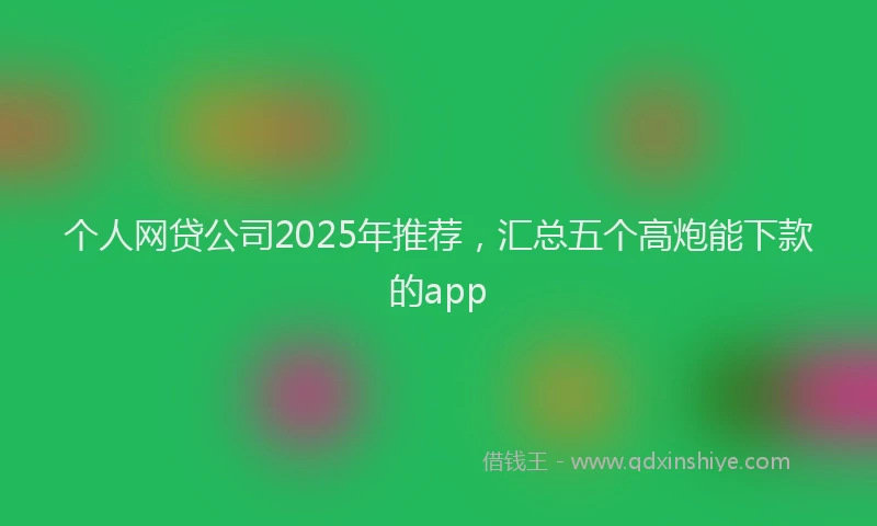个人网贷公司2025年推荐，汇总五个高炮能下款的app