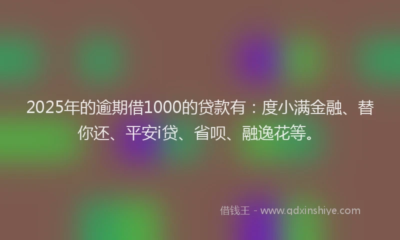 2025年的逾期借1000的贷款有：度小满金融、替你还、平安i贷、省呗、融逸花等。