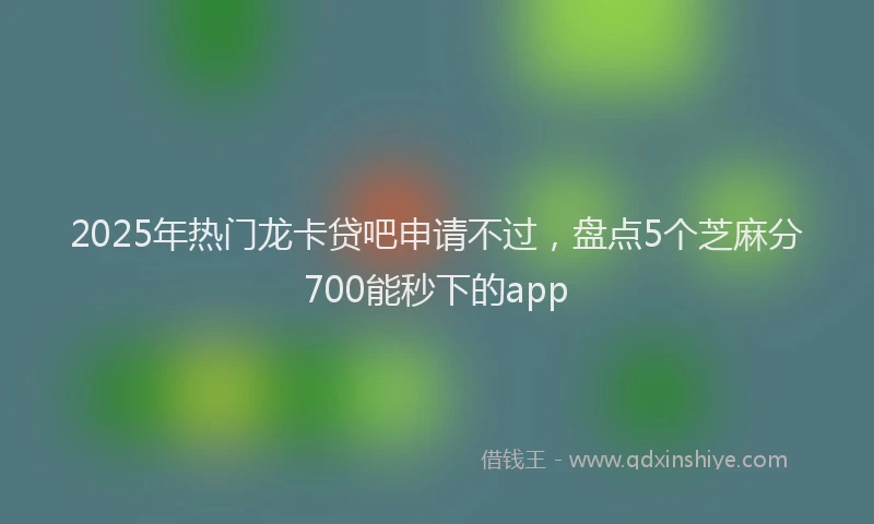 2025年热门龙卡贷吧申请不过，盘点5个芝麻分700能秒下的app