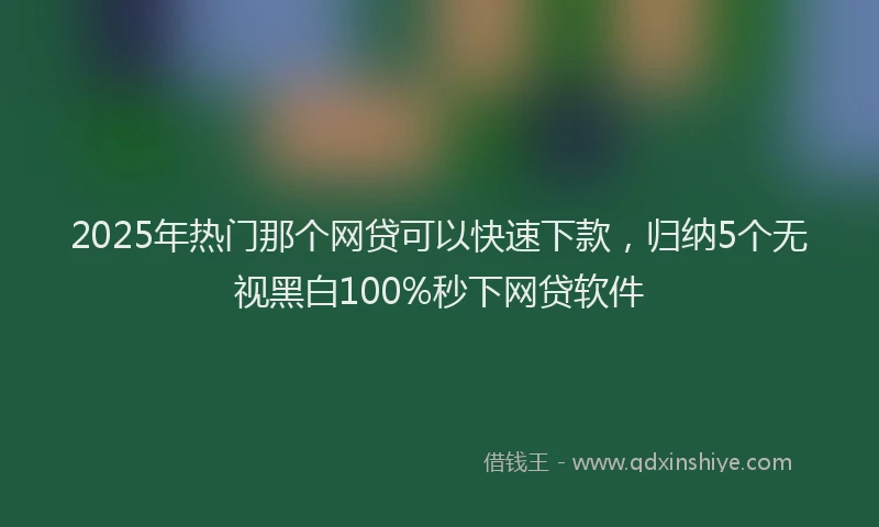 2025年热门那个网贷可以快速下款，归纳5个无视黑白100%秒下网贷软件